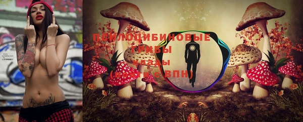 стафф Белоозёрский