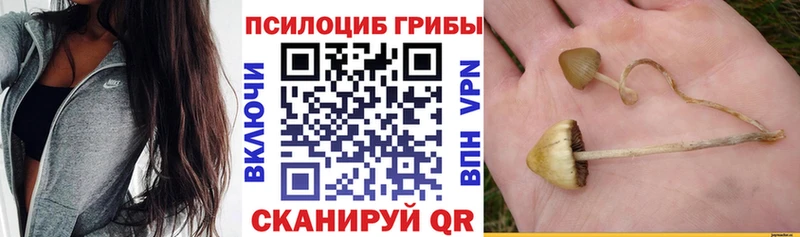 Галлюциногенные грибы ЛСД  нарко площадка какой сайт  Плёс 